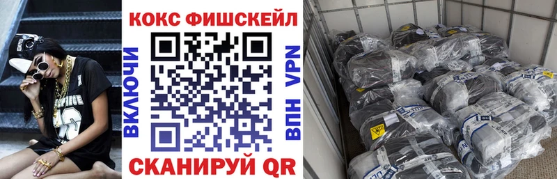 купить закладку  Воткинск  Кокаин Эквадор 