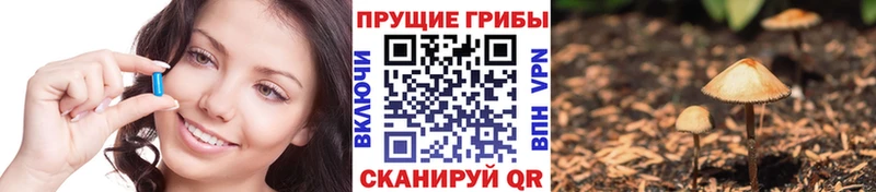 Галлюциногенные грибы Cubensis купить цена Воткинск